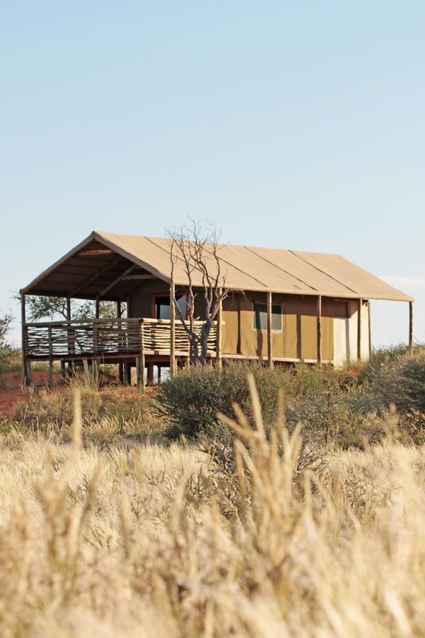 Suricate Tented Kalahari Lodge Hoachanas 客房 照片